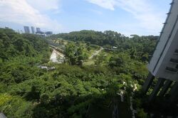 Normanton Park (D5), Apartment #485596351